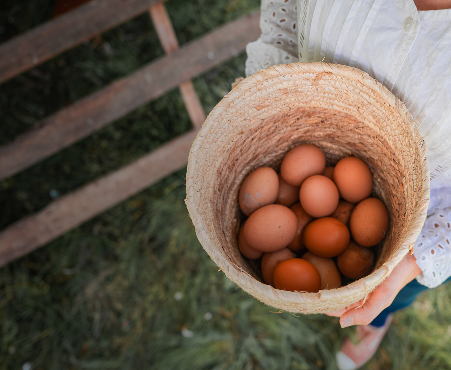 Hero Nuestro Producto
